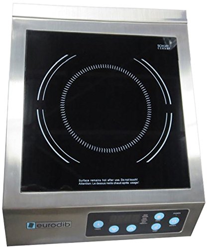 Eurodib Commercial Induction Cooker Review