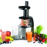 Salton JE1372PL Low Speed Juicer and Smoothie Maker Review
